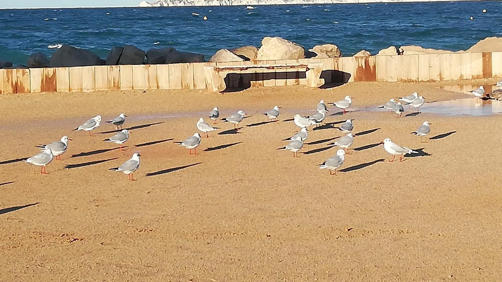 Apt F4 Plage Pointe Rouge 13008 Marseille